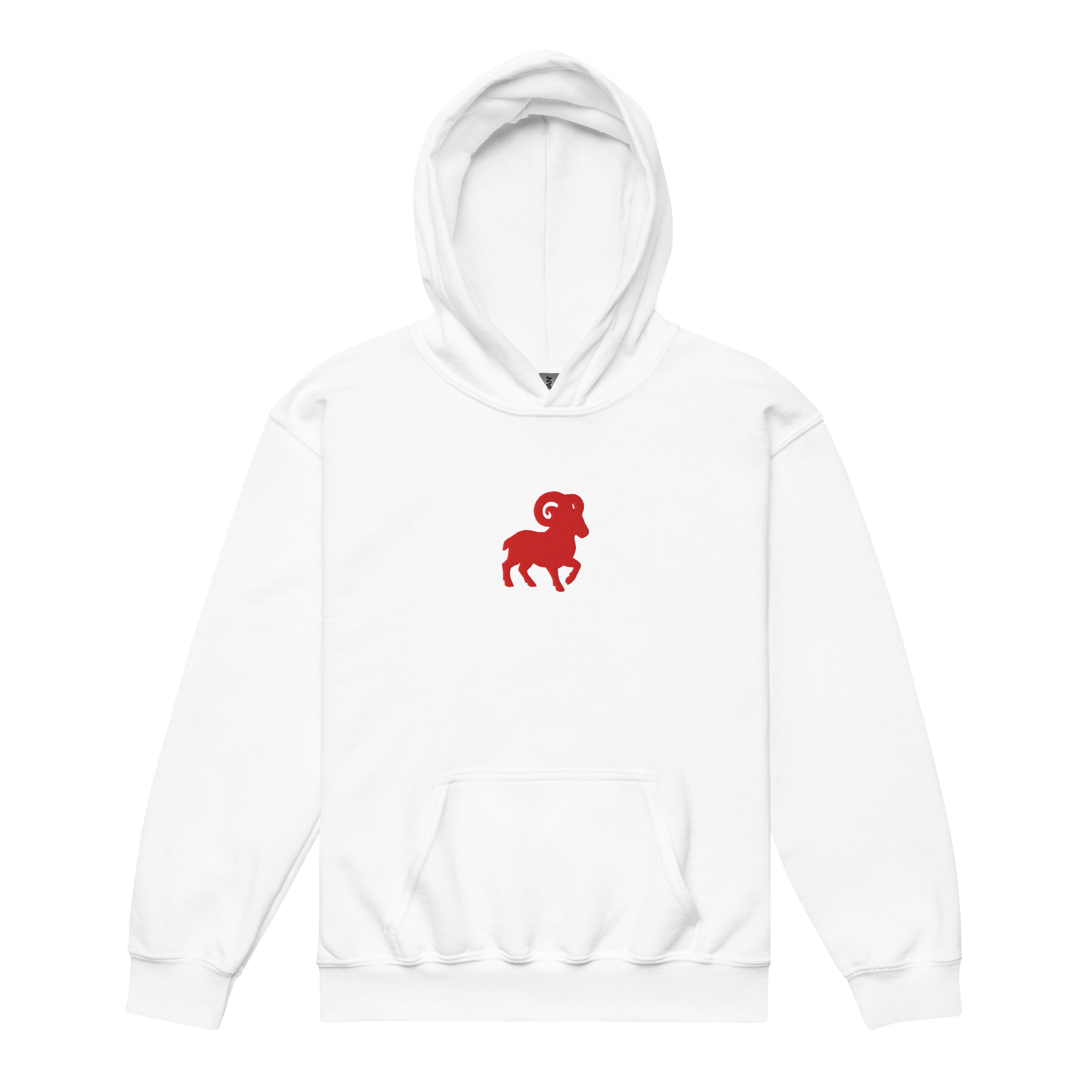 Youth Aries hoodie flat lay